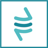 Mainspring Consulting LLC Logo