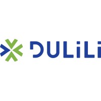 Dulili Solutions Logo