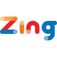 Zing Data Logo