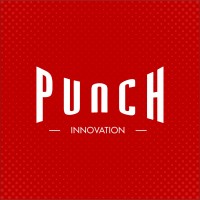 Punch Innovation (PTY) Ltd Logo