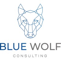 blue Wolf consulting s.r.o. Logo