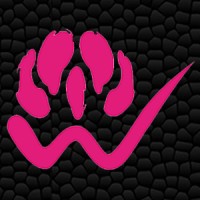Waratah Analytics Logo