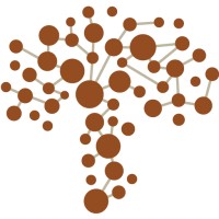 Real Mushrooms Logo