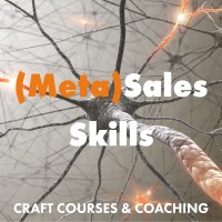 (Meta)Sales Skills Logo