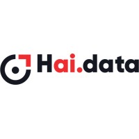 Haidata Logo