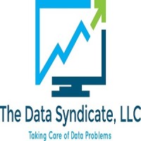 The Data Syndicate Logo