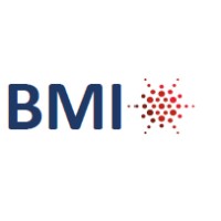 Baie Minerals Inc/BAIE Technologies Inc. Logo
