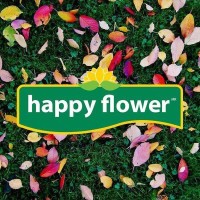 Happy Flower Mexicana Logo