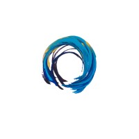 Carson Valley Psychological Services, LLC Logo