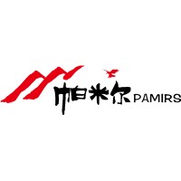 上海帕米尔信息科技有限公司 Logo