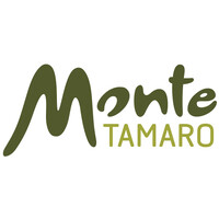 Monte Tamaro SA Logo