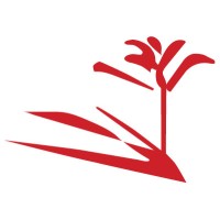 Praxis International Logo