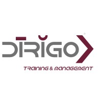 Dirigo Srl Logo