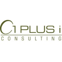 1 PLUS i GmbH Logo
