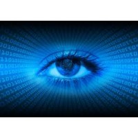 Entellus Investigative Services Logo