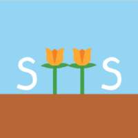 STEM to the Sky Logo