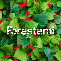 Forestami Logo