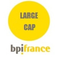 Bpifrance Large Cap Logo