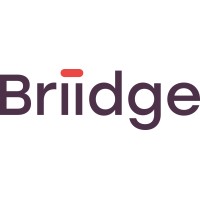 Briidge AG Logo