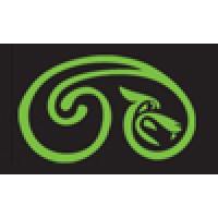 Netsolus Logo