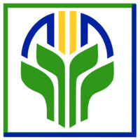 Terra Brasil Minerals Logo