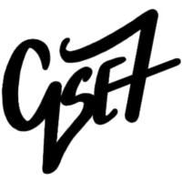 QSE7, LLC Logo