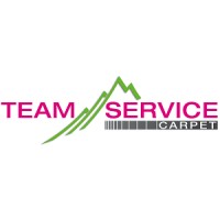 Team Service Srl Logo