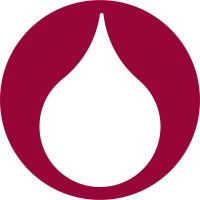 CHEMITEC S.R.L. Logo