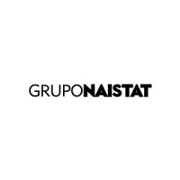 Grupo Naistat Logo