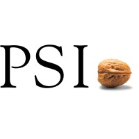 PSI Energy Markets Logo