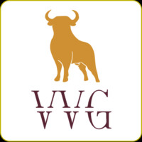 Vaccaro Ventures Group LLC Logo