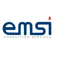 EMSI Consulting Services Logo
