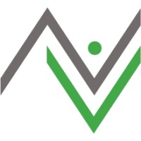 Navusoft LLC Logo