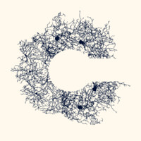 Cambrya, LLC Logo
