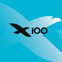 IT X100 Logo