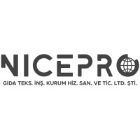 Nicepro Kurumsal Hizmetler Logo