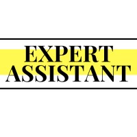 Expert Assistant Logo