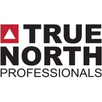 True North Professionals Logo