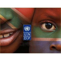 UNDP South Africa Logo