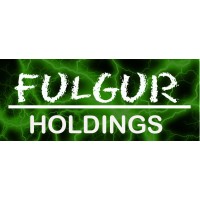 Fulgur Holdings LLC Logo