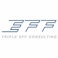 Triple EFF Consulting Logo