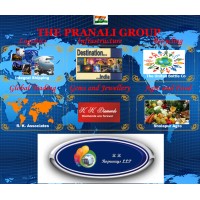The Pranali Group Logo