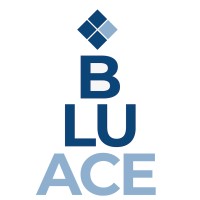 Bluace Logo