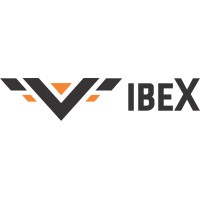 Vibex Machines India Pvt Ltd Logo
