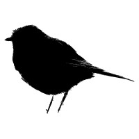 Robin Cards Logo