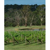 Stanicks Estate Logo