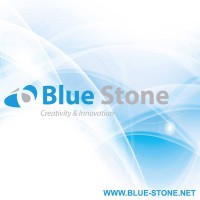 Blue Stone Solution Co., Ltd. Logo