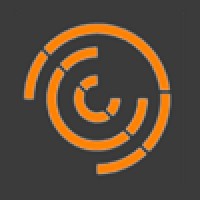 Data Crunch Consulting Logo