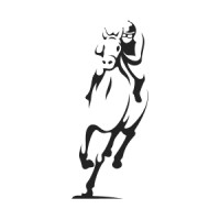 Dark Horse Solutions LLC Logo
