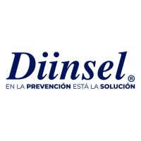 Diinsel SA de CV Logo